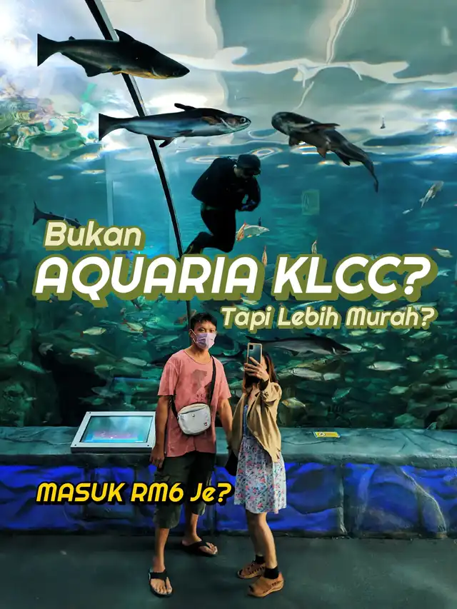 RM6 Je Dah Boleh Tengok Ikan Macam Aquaria KLCC?