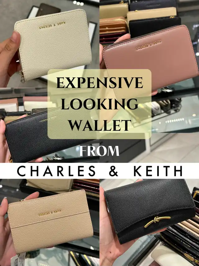 HELP ME CHOOSE WHICH WALLET TO GET!