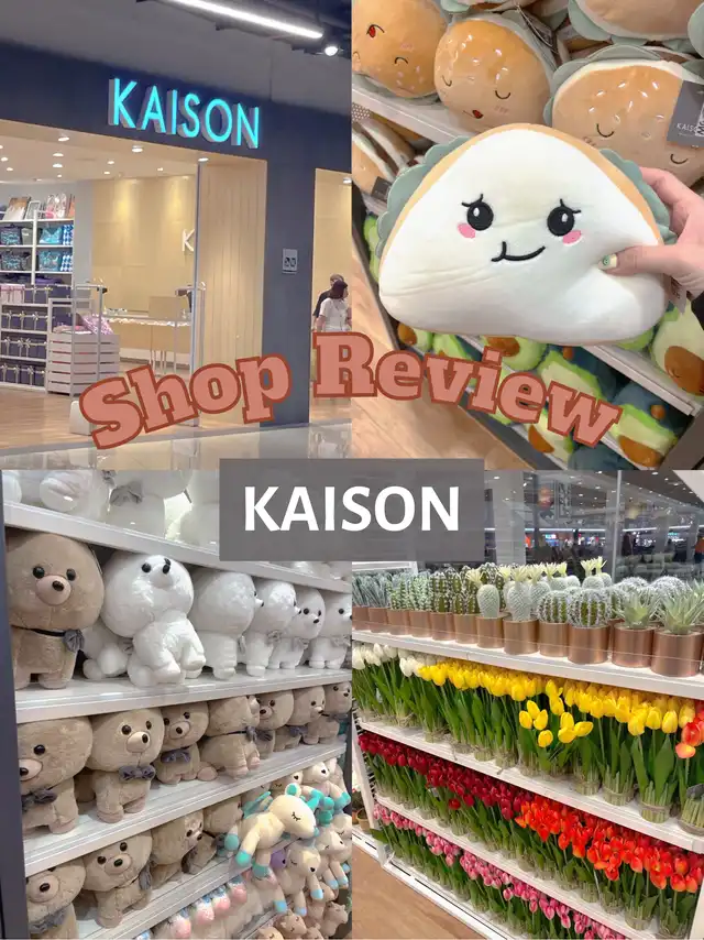 KAISON shop reviews