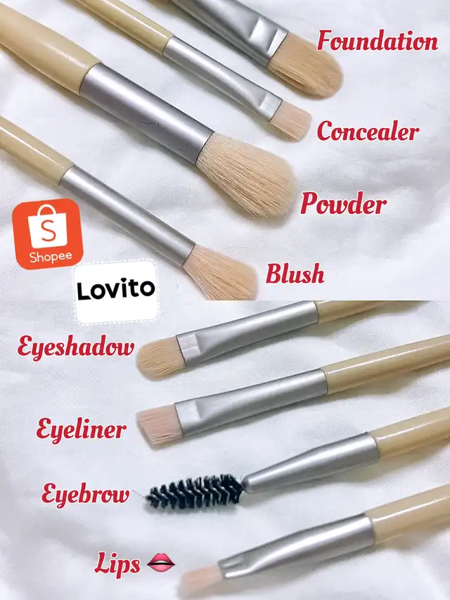 How to use Brushes for full makeup! Simple