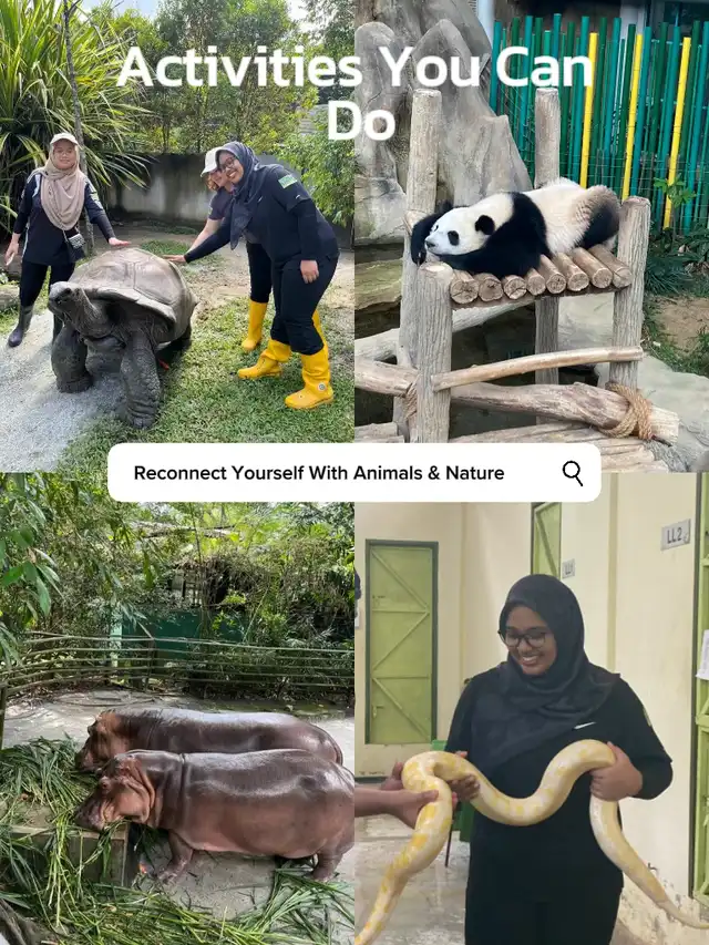 Volunteering With Your Friends At Zoo Negara